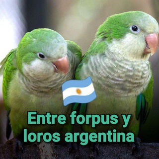 Логотип @entreforousargentinos - Entre forpus y loros argentinos