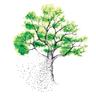 Логотип @entropyforlife - Entropy for Life