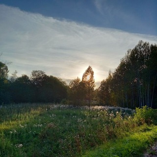 Логотип @eqlife - #прочувствуй_жизнь