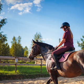 Логотип @equ_hd - 🌷 ЛОШАДИ | КОННЫЙ СПОРТ 🌷