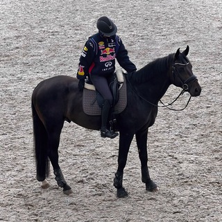 Логотип @equefophy - fophy