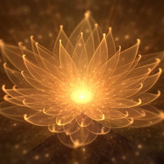 Логотип @equiano_intensio - Equiano Intensio 🌺 Der spirituelle Herzraum