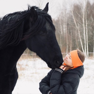 Логотип @equwixr - 🤍 𝙀𝙦𝙪•𝙬𝙞𝙭𝙧 🫐