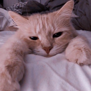 Логотип @er46r - Жывые обои 😜❤️