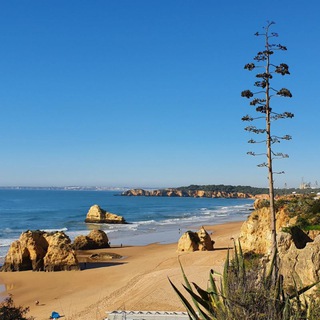 Логотип @erfuelltundfrei - ❣️Amata Bayerl - Erfüllt und frei leben