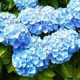 Логотип @erhabinganben - Пирожковая - "История болезни" и прочие пироги с котятами