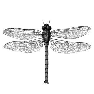 Логотип @ericbornmusic - Eric Born Music Official (indie, triphop music)