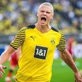 Логотип @erlinghochland - Эрлинг Хохланд💛⚽️|Новости футбольного мира👕