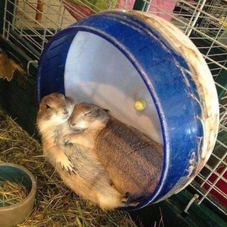 Логотип @ermak_27 - 🖤ERMAK🖤