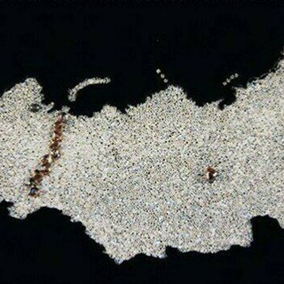 Логотип @ermitag1 - Эрмитаж