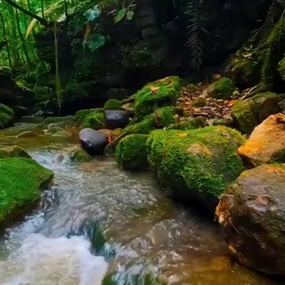 Логотип @ersag_chilanzar - ERSAG LIDER🇺🇿ZULFIYA