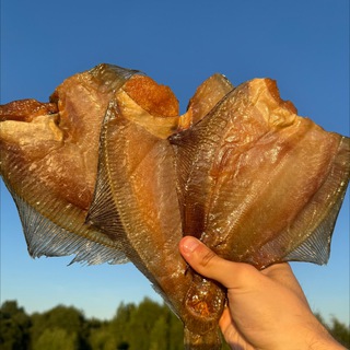 Логотип @ersh_project - МУРМАНСКИЙ ЁРШ