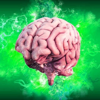 Логотип @erudite_finance - Эрудит. Финансы