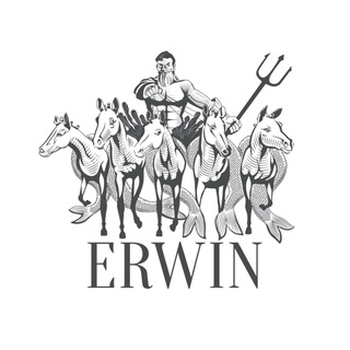 Логотип @erwinmoscow - ERWIN.РАППОПОРТ