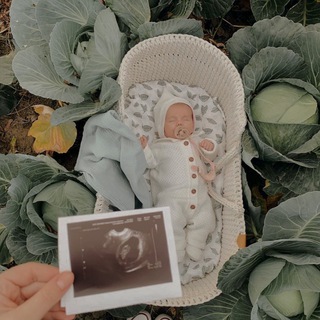 Логотип @es_home_ru - es.home.chat🌱