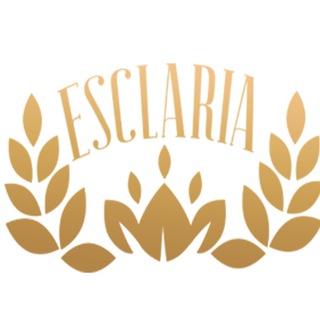 Логотип @esclaria - Esclaria Team