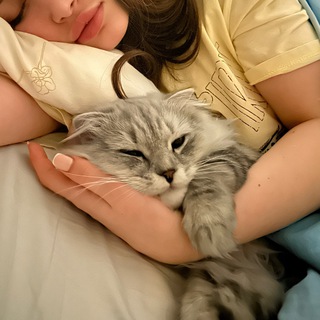 Логотип @eseningirl1 - Eseningirl