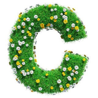 Логотип @esgcarbonara - CARBONARA