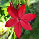 Логотип @espractices - Эзотерические практики