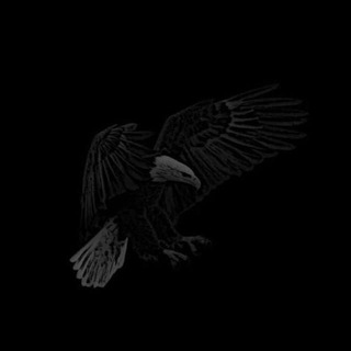 Логотип @esquire077 - 𝐞𝐬𝐪𝐮𝐢𝐫𝐞.🦅