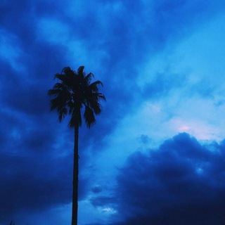 Логотип @essscobar1 - 𝔼𝕊ℂ𝕆𝔹𝔸ℝ 💸