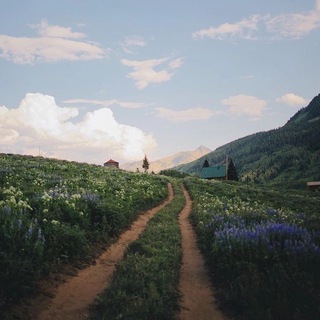 Логотип @estetica_dorog - Дорожный - Фотографии дорог