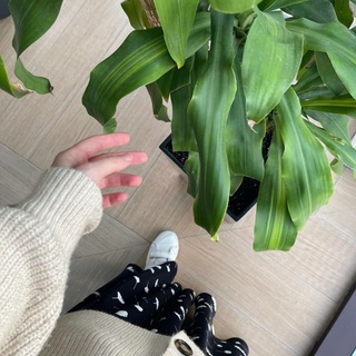 Логотип @esteticlove1 - 𝐄𝐬𝐭𝐞𝐭𝐢𝐤𝐚 𝐦𝐨𝐞𝐢 𝐝𝐮𝐬𝐡𝐢...