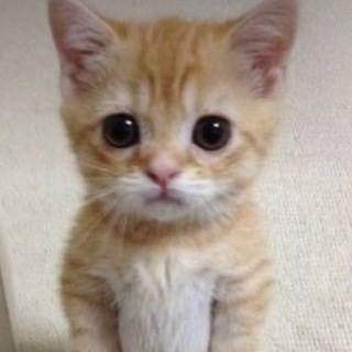 Логотип @estetika_555_anna - .