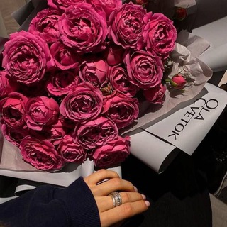 Логотип @estetika_foto - Обои на телефон🏞️