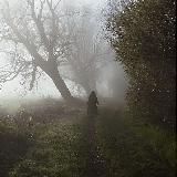 Хижина в туманном лесу