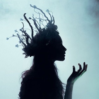 Логотип @estetika_mysley - ЭСТЕТИКА МЫСЛЕЙ🫀