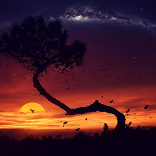 Логотип @estetikainvideo - Тревел видео✈️🏞