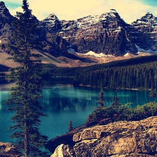 Логотип @estetikalestetikal - Эстетика мира 🌍🌎🌏