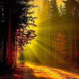 Логотип @estetiklestetik - Эстетика мира _ЧАТ_