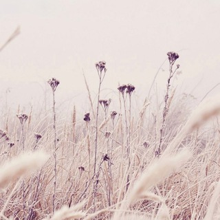 Логотип @estriada_artworks - Estriada Artworks