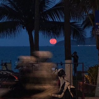 Логотип @eternalnocturne - EternalNocturne_