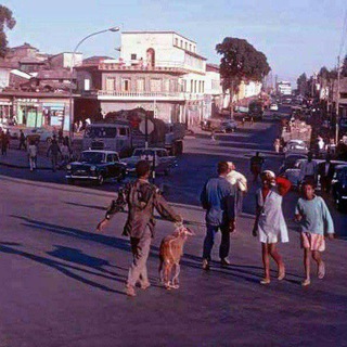 Логотип @ethiopia_tezeta - Tezeta