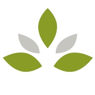 Логотип @ethno_news - Ethno Health News