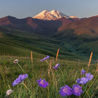 Логотип @etikju - ϶ᴛиᴋᴇᴛᴋᴀ❤‍🩹