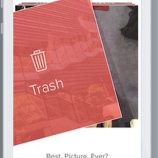 Логотип @etonehvost - Это не хвост