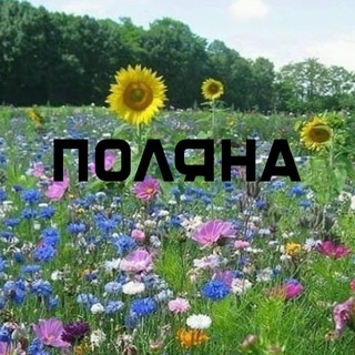 Логотип @etopolyana - ПОЛЯНА ツ POLYANA