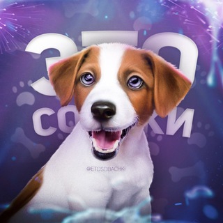 Логотип @etosobachki - это собачки