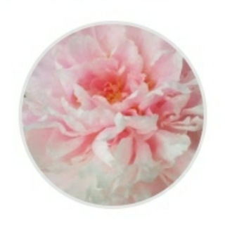 Логотип @etot_moment - ЭТОТ МОМЕНТ