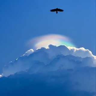 Логотип @etotmoment_anons - АФИША ЭТОТ МОМЕНТ