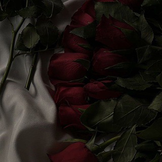 Логотип @etoyanana - от любви любви не ищут...