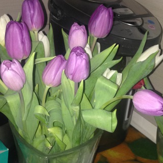 Логотип @evacuationvideo - Новости с лицами из Мариуполя