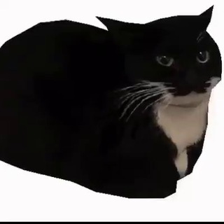 Логотип @evasya111 - евася111