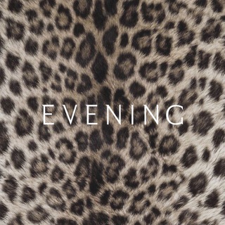 Логотип @eveningstore - EVENING
