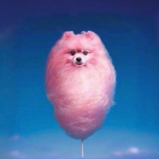 Логотип @eventsbudapest - Events in Budapest