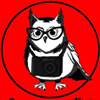 Логотип @everesta_1 - рисовать online